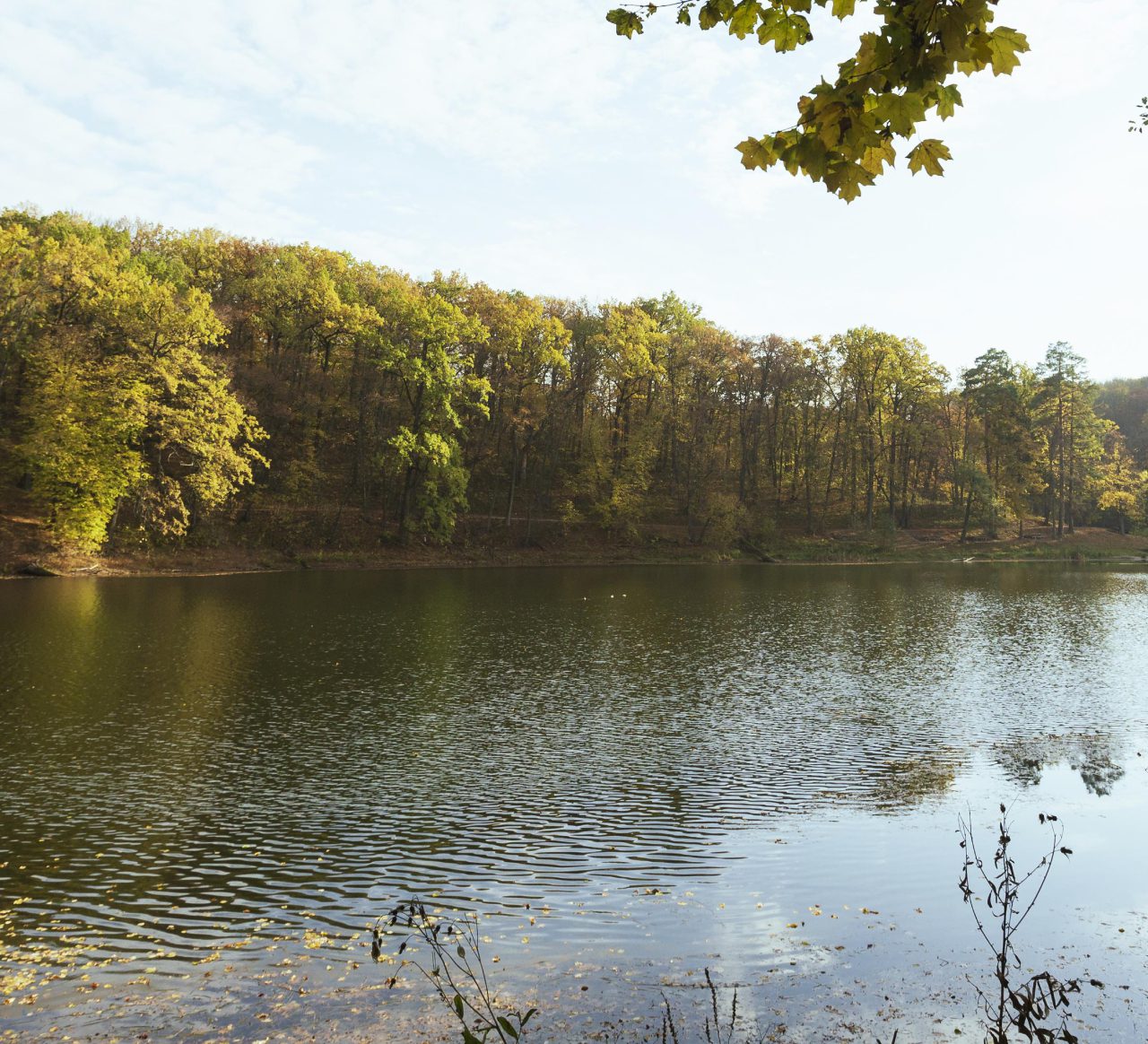 Peaceful mother nature landscape<br />
